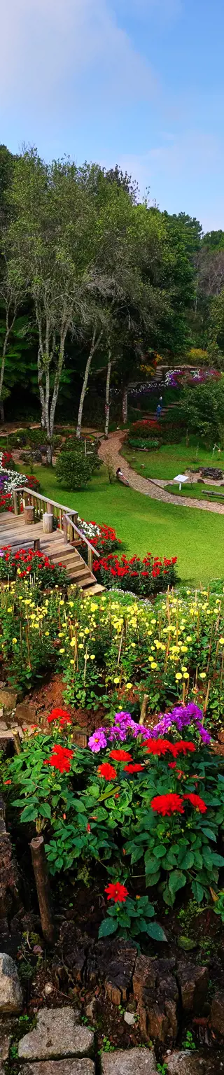 Spaziere durch die bezaubernden Gartenanlagen von Suan Mae Fa Luang